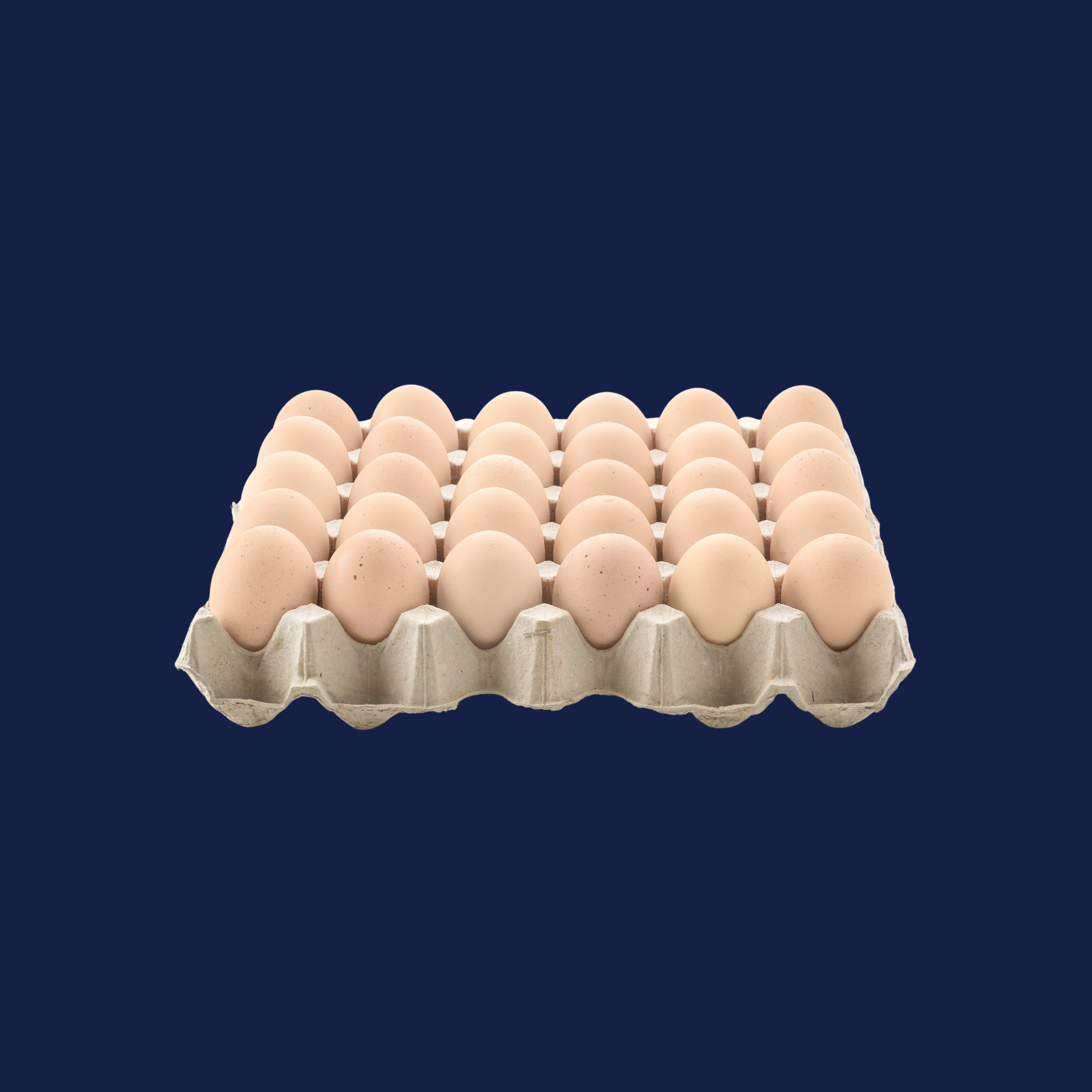 Eggs Tray